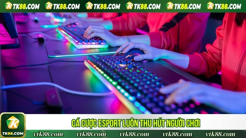 Cá cược esport luôn thu hút người chơi