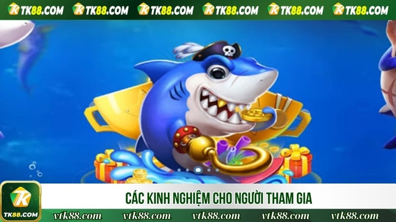 Các kinh nghiệm cho người tham gia