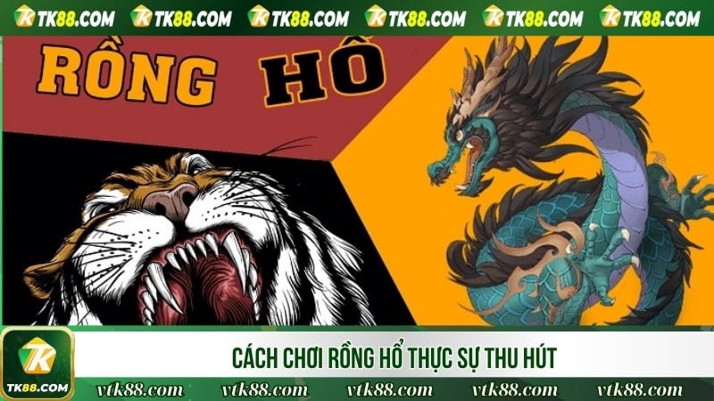 Cách chơi rồng hổ thực sự thu hút