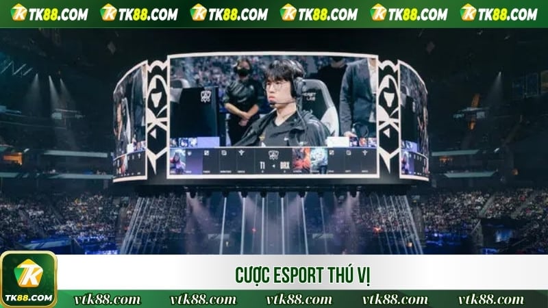 Cược Esport thú vị