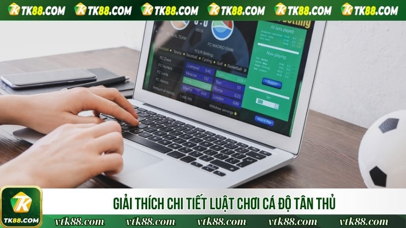 Giải thích chi tiết luật chơi cá độ tân thủ