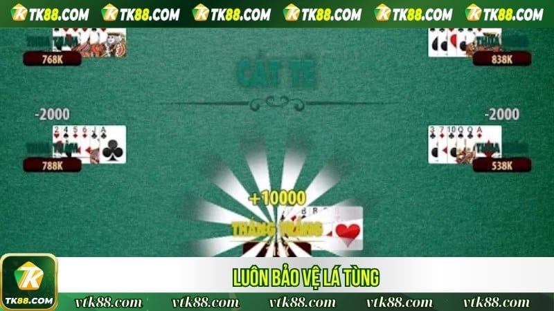 Luôn bảo vệ lá Tùng