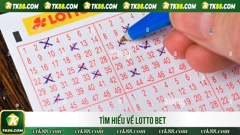 Tìm hiểu về lotto bet