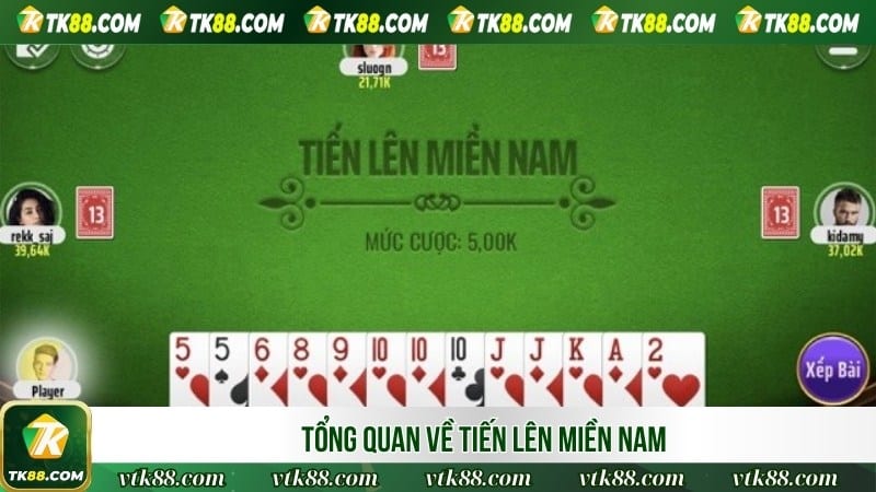 Tổng quan về Tiến Lên Miền Nam