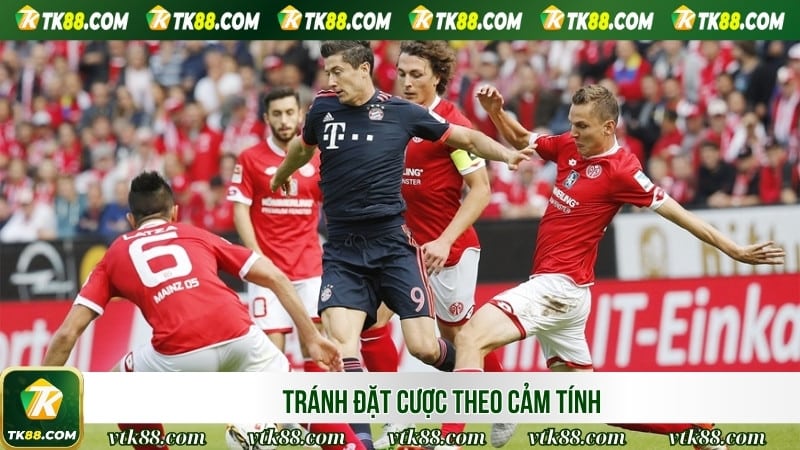 Tránh đặt cược theo cảm tính