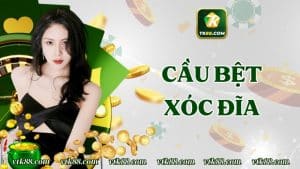 Cầu bệt Xóc Đĩa