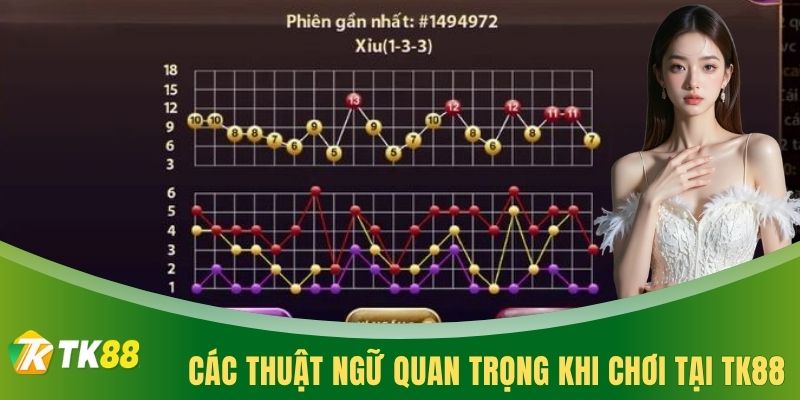Các thuật ngữ quan trọng khi chơi tại TK88