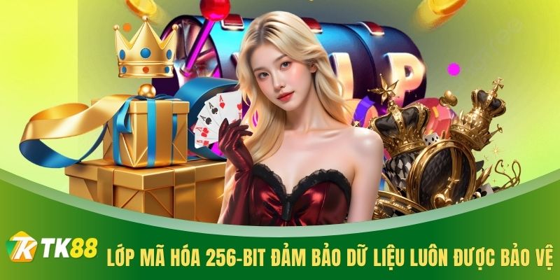 Lớp mã hóa 256-bit đảm bảo dữ liệu luôn được bảo vệ