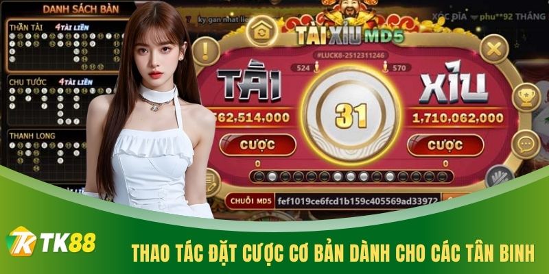 Thao tác đặt cược cơ bản dành cho các tân binh